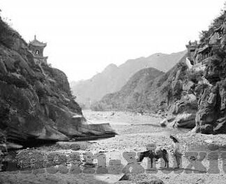 精品香蕉一区二区三区-精品香蕉的魅力，一区、二区、三区的独特风味与健康价值
