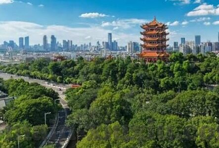 麻豆chinese新婚精品视频-麻豆CHINESE新婚精品视频——新婚生活里的幸福剪影