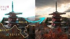 麻豆视频随落的人妻-麻豆视频下的温婉背叛——人妻角色的暗夜独舞