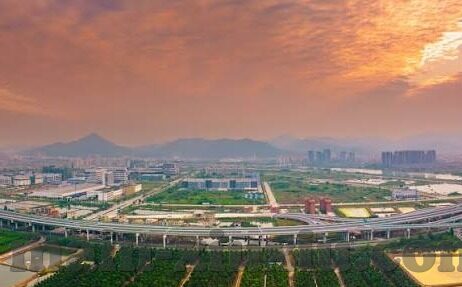 五月丁香成人视频-五月丁香，成人视频的美丽与隐秘